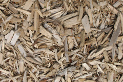 biomass boilers Dufton